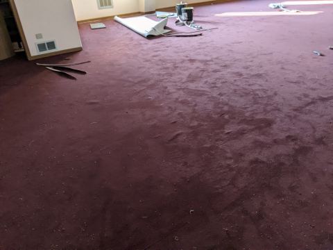 Sanctuary Renovations - Newest photos first, photo 21
