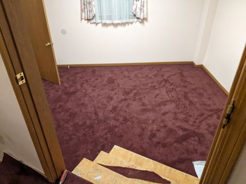 Sanctuary Renovations - Newest photos first, photo 70