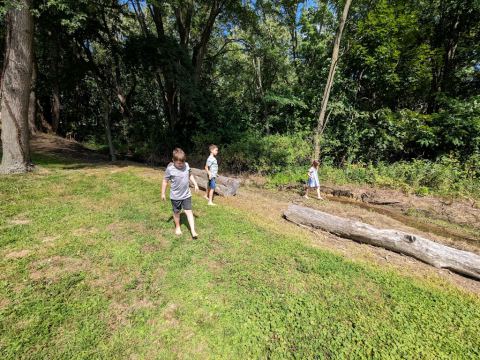 Labor Day Weekend, Church Picnic, photo 14