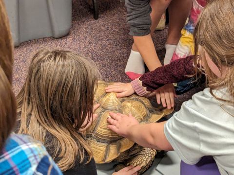 Children’s Adventure with Jungle Terry, photo 16