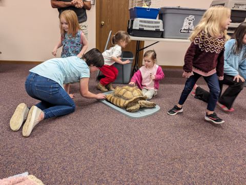Children’s Adventure with Jungle Terry, photo 18