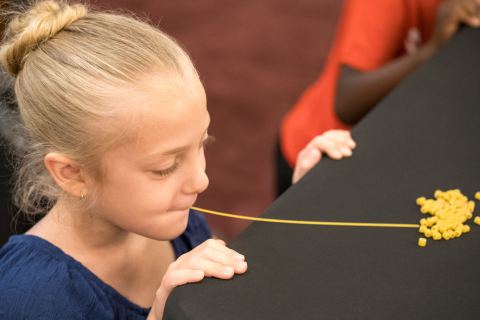 Bible Adventure Day Camp, photo 56